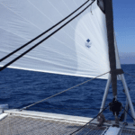 Zoom sur une génois enrouleur Code Zéro sur emmagasineur qui équipe un catamaran - Voiles & nautisme