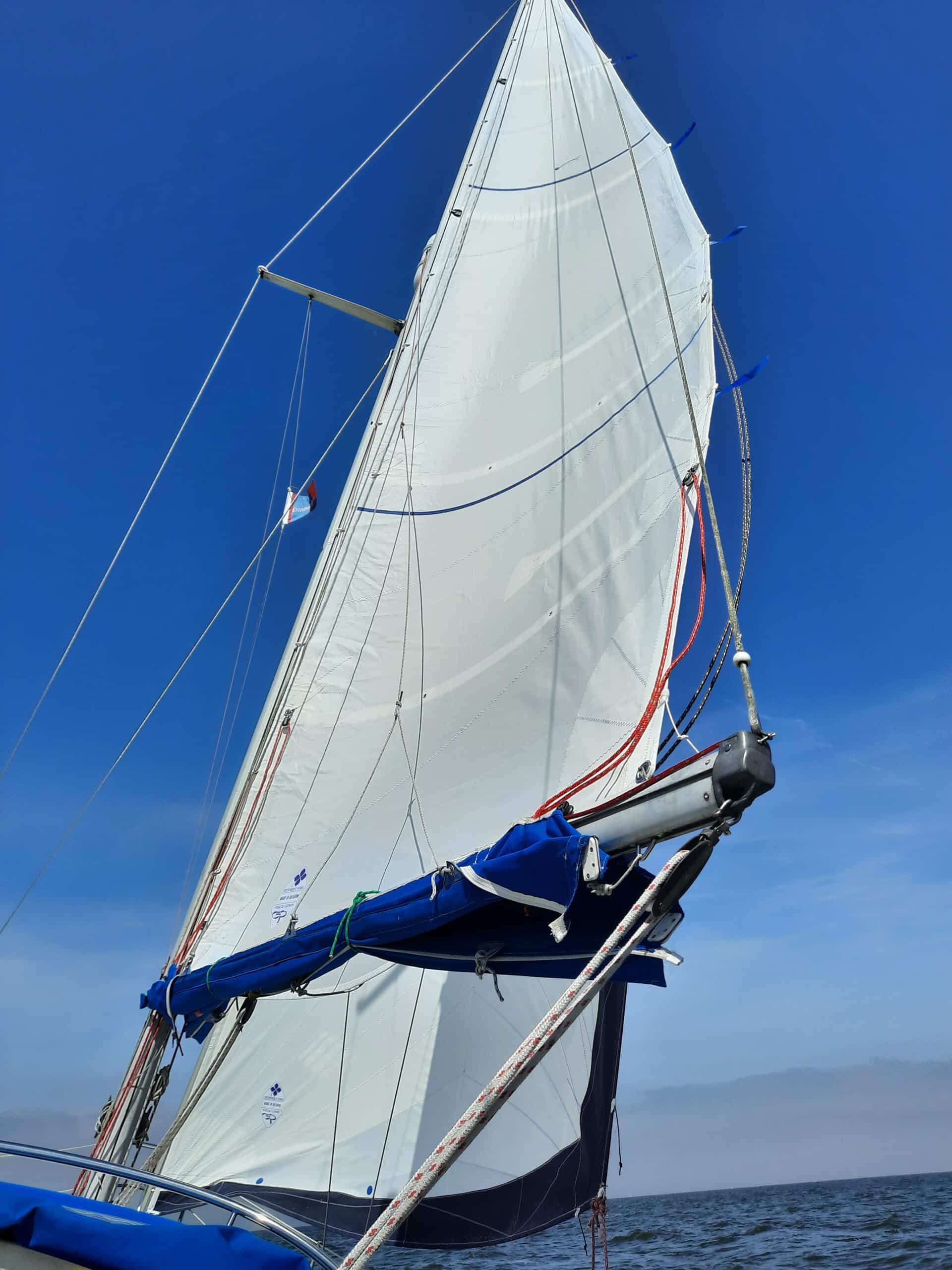 Réalisation d'une grand-voile de croisière semi-lattée blanche