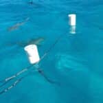 Réalisation d'une confection textile d'un système de protection anti-requins